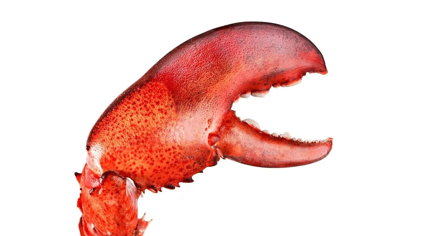 CNBC "오픈클로의 ChatGPT 모먼트 — AI 모델이 범용품이 되고 있다"